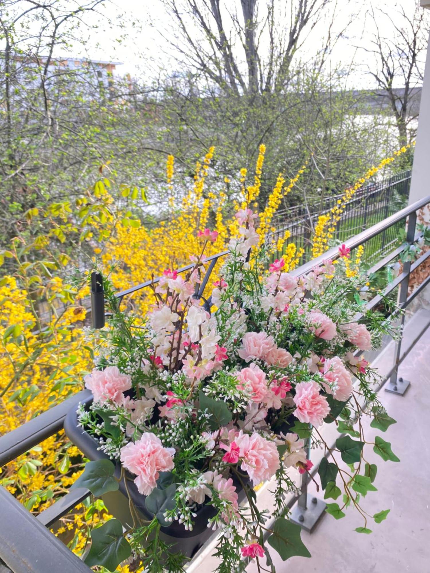 Cozy Riverfront Living, 5-Min Walk To Riverside Train Neuilly-Plaisance Ngoại thất bức ảnh